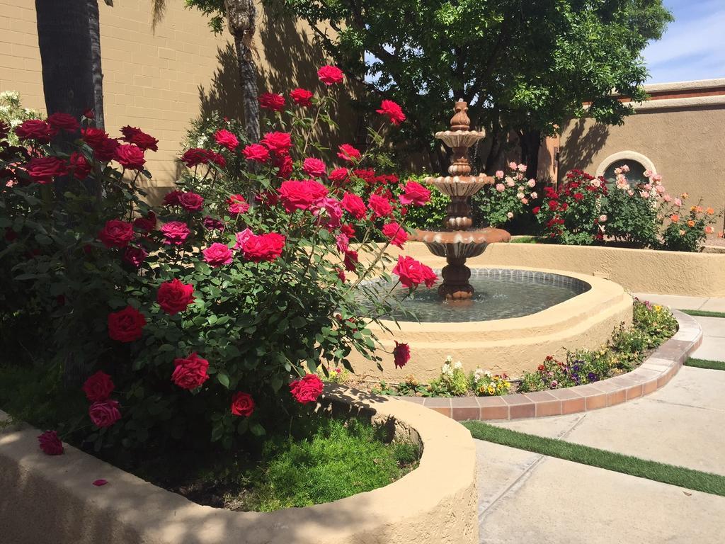 Ramada Tucson East Ξενοδοχείο Εξωτερικό φωτογραφία